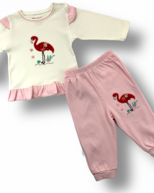 3-6 6-9 9-12 Ay Flamingo Nakışlı Uzun Kollu Sweatli 2li Kız Bebek Takımı