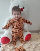 3-6-9-12 Ay Pooh Desenli Zebra Çizgili Şapkalı Sweatli 3lü Kız Erkek Bebek Tulumu(sarı)