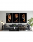 Aslan,kaplan,jaguar 3 Lü Set (TOPLAM ÖLÇÜ 210X110 CM) Cam Tablo