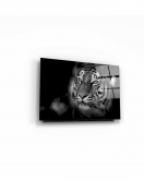 Aslan Cam Tablo 50x70 Cm