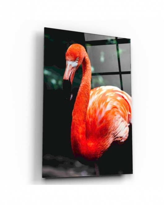 Flamingo Cam Tablo