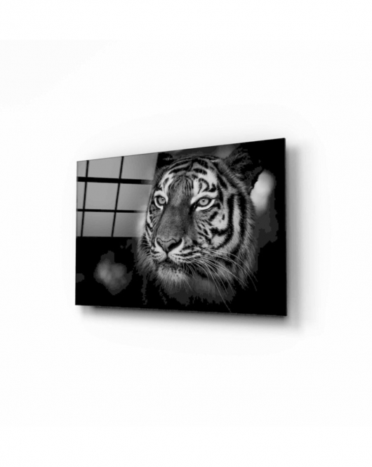 Aslan Cam Tablo 50x70 Cm