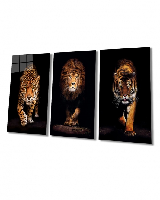 Aslan,kaplan,jaguar 3 Lü Set (TOPLAM ÖLÇÜ 210X110 CM) Cam Tablo