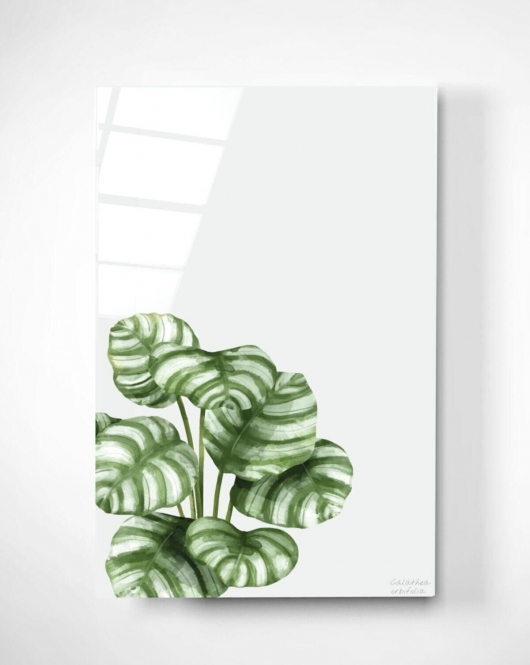 Digi-art Calathea Orbifolia Cam Tablo 70x110