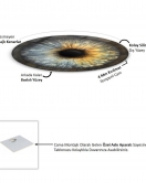 Göz Temalı Sanatsal Yuvarlak Cam Tablo