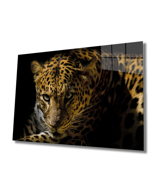 Leopar Hayvan Cam Tablo, Leopard