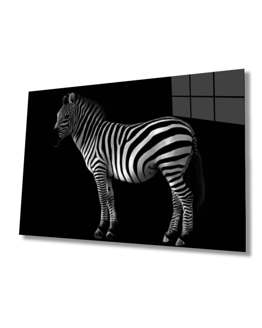 Zebra Hayvan Cam Tablo