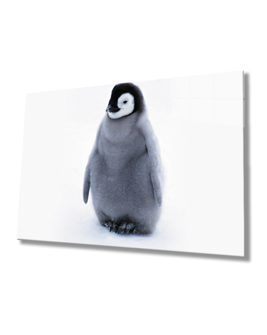 Penguen Cam Tablo Penguin Table