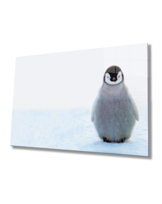 Penguen Cam Tablo Penguin Table