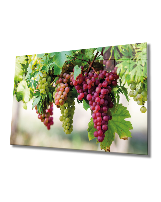 Üzüm Cam Tablo Grape