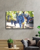 Siyah Üzüm Cam Tablo Grape Art