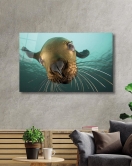 Denizaslanı Cam Tablo Underwater Sea Lion