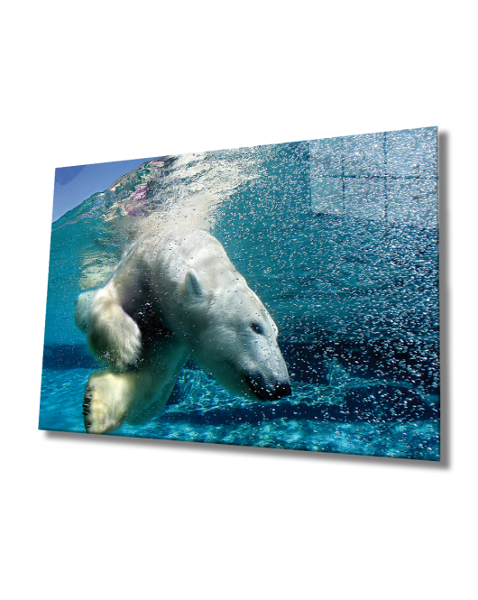 Beyaz Ayı Cam Tablo White Bear In Sea