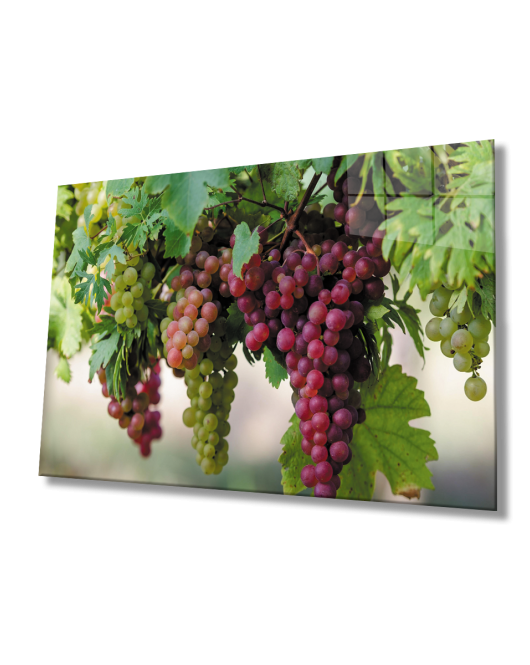 Üzüm Cam Tablo Grape