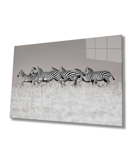 Zebra Cam Tablo