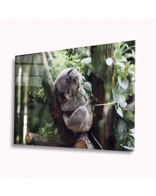 Koala Cam Tablo 4mm Dayanıklı Temperli Cam