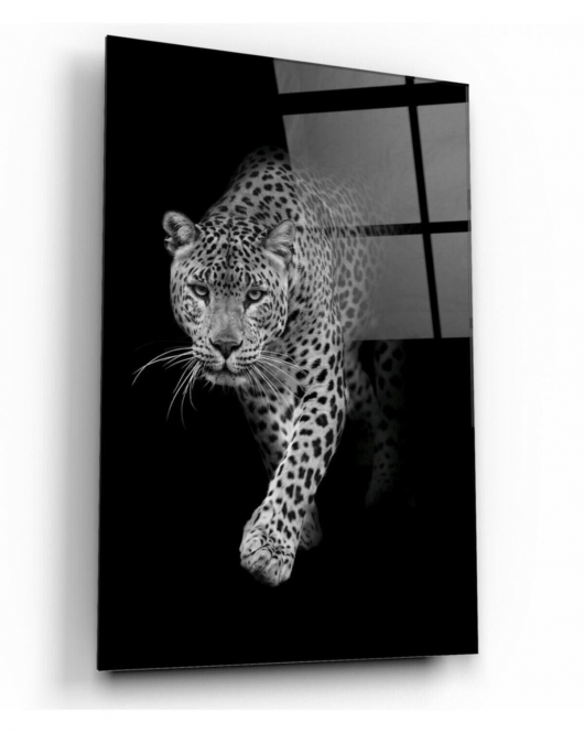 Leopar Cam Tablo