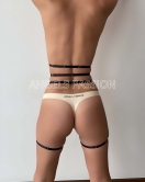 Lastik Jartiyer Harness