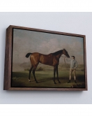 Çerçeveli George Stubbs'Un Uzun Bacaklı At Ve Jokeyi Tablosu - Molly Long-Legs With Her Jockey-7012