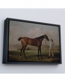 Çerçeveli George Stubbs'Un Uzun Bacaklı At Ve Jokeyi Tablosu - Molly Long-Legs With Her Jockey-7012