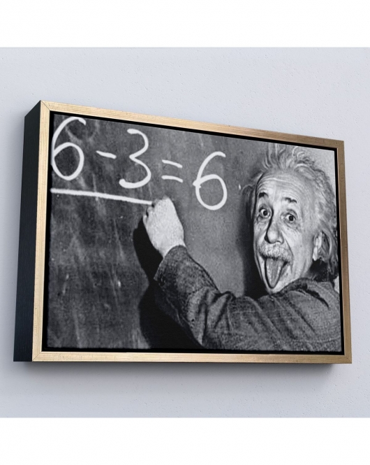 Çerçeveli Albert Einstein Tablosu-7246