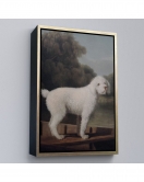 Çerçeveli George Stubbs Beyaz Kaniş Tablo-8034