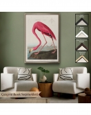 Çerçeveli John James Audubon - Amerikan Flamingo Tablosu-7301