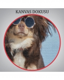 Küçük Köpek Dekoratif Kanvas Tablo 1157