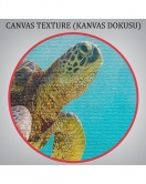 Caretta Caretta Dekoratif Kanvas Tablo 1174