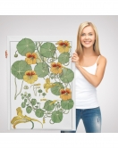 Nasturtium Çiçeği Kanvas Tablo-5206