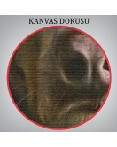 İnsan Kıyafetli Kasketli Köpek Dekoratif Duvar Tablosu -6178