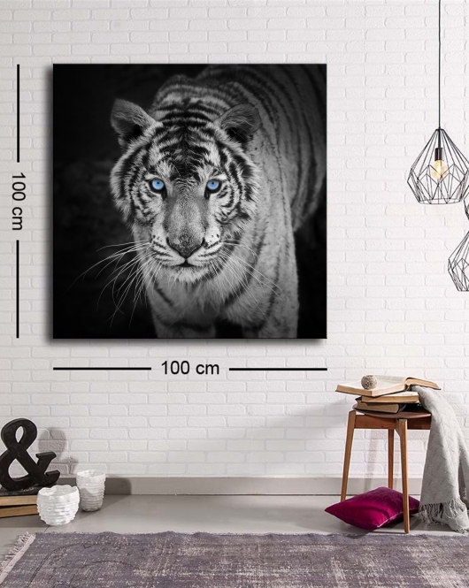 Dekoratif Baskı illüstrasyon Black White Tiger Kare Kanvas Tablo