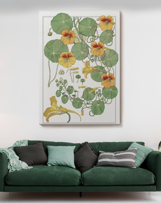 Nasturtium Çiçeği Kanvas Tablo-5206