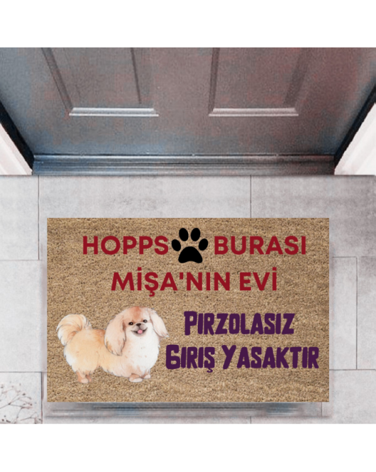 Kapı Önü Paspası Dekoratif Dijital Baskı Hopps P-2474