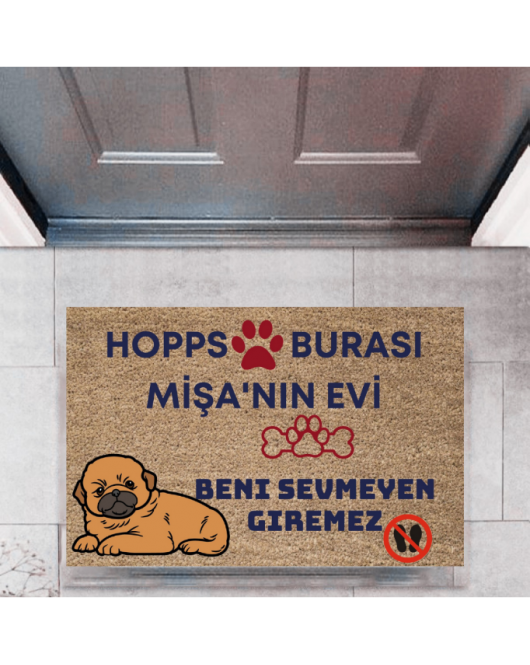 Kapı Önü Paspası Dekoratif Dijital Baskı Hopps P-2475