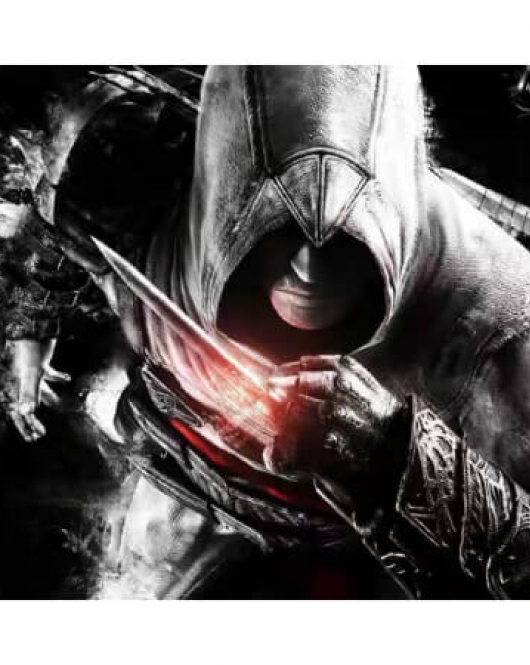 Kanvas Assassin'S Creed Sayılarla Boyama Seti Kasnaklı