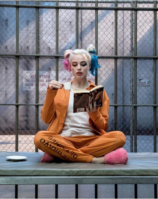 Kanvas Harleyquinn'İn Bir Günü Sayılarla Boyama Seti Rulo