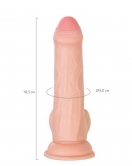 My Babe Kıkırdaklı Deri Katmanlı My Treasure 18,5 cm Dildo