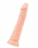 Toon Vantuzlu Realistik Dildo Ten 20 cm