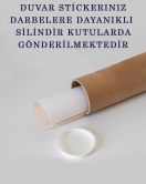 Dünya Haritası Eğitici Ülke Bayraklı Türkçe Harita Çocuk ve Genç Odası Duvar Sticker-60x105-3865B