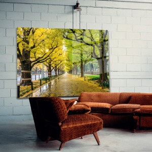 Doğa Manzara Cam Tablo 84