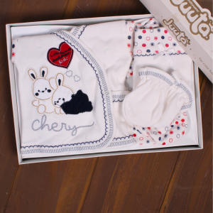 Tavşan Desenli 5 Parça Erkek Bebek Hastane Çıkışı Seti