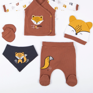 3 Ay Erkek Bebek Hastane Çıkışı Little Fox 5'li Kahverengi