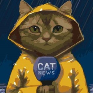  Muhabir Kedi Sayılarla Boyama Seti  Kasnaklı  40 x 50