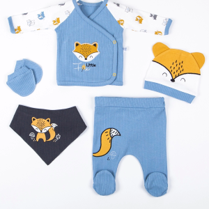 3 Ay Bebek Hastane Çıkışı Little Fox Nakışlı 5'li Erkek Mavi