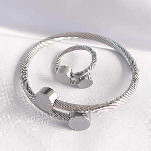 316L Çelik Gümüş Renk Oval Aksesuarlı Burgu Model Bileklik ve Yüzük Kombini