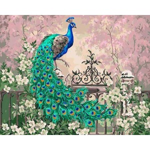  Renkli Tavuskuşu Sayılarla Boyama Seti  Kasnaklı  40 x 50