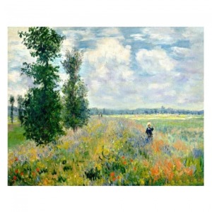  Monet Hashas Bahçesi Sayılarla Boyama Seti Kasnaklı  40 x 50