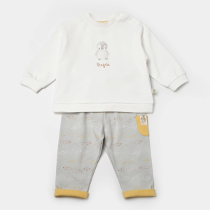 Bibaby Biorganic Penguin Club 2'li Bebek Takım 59809 Ekru Gri
