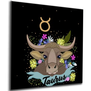 ZodyakPenceresi - Yıldızların camdan bakışı.  Boğa